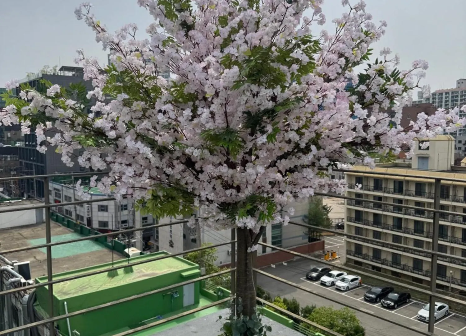 601, Seongsu Station Jungnangcheon Cherry Blossom Road Han River Airport Bus Séoul