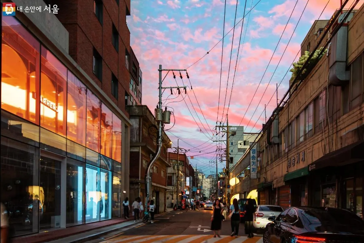 601, Seongsu Station Jungnangcheon Cherry Blossom Road Han River Airport Bus Séoul